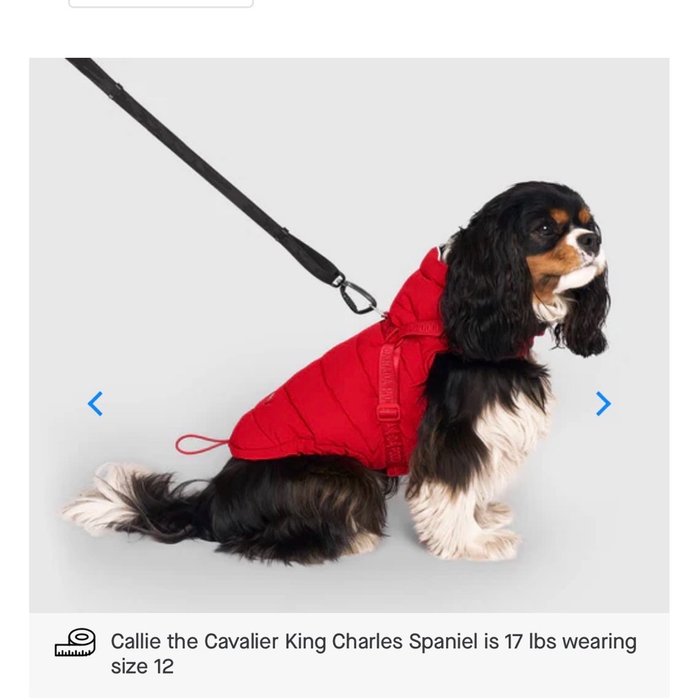 Canada Pooch-Red Quilted Dog Puffer Jacket